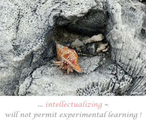 Intellectualizing--will-not-permit-experimental-learning