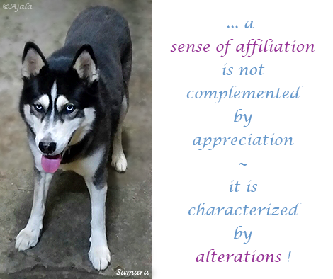 a-sense-of-affiliation-is-not-complemented-by-appreciation---it-is-characterized-by-alterations