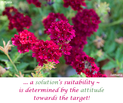a-solution-s-suitability--is-determined-by-the-attitude-towards-the-target