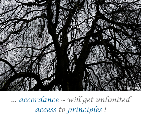 accordance--will-get-unlimited-access-to-principles