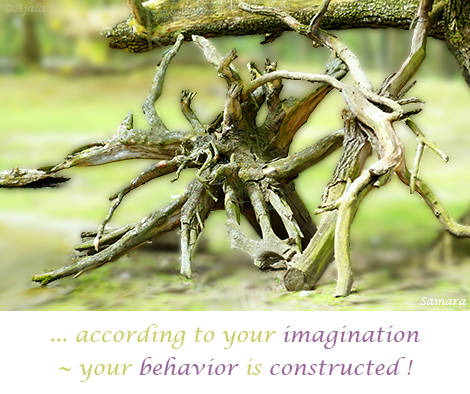 according-to-your-imagination--your-behavior-is-constructed