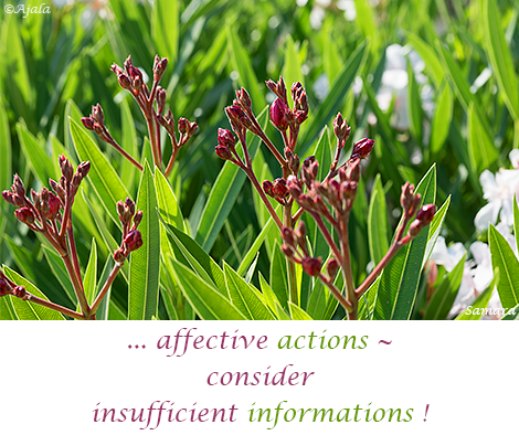 affective-actions--consider-insufficient-informations