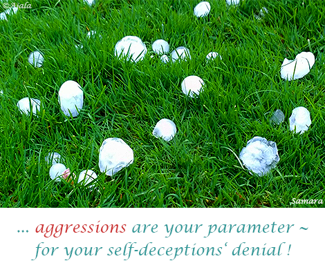 aggressions-are-your-parameter--for-your-self-deceptions-denial