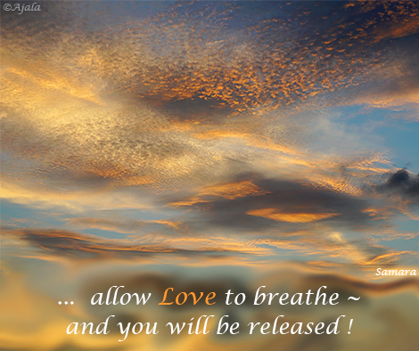 allow-Love-to-breathe--and-you-will-be-released
