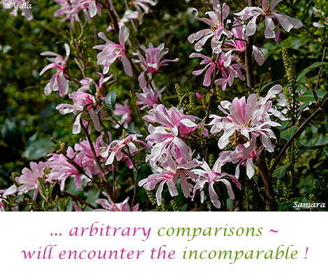 arbitrary-comparisons-will-encounter-the-incomparable