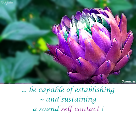 be-capable-of-establishing--and-sustaining-a-sound-self-contact