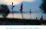 in-success-as-well-as-in-failure--is-no-natural-necessity