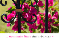 nominate-those-disturbances--you-are-willing-to-eliminate