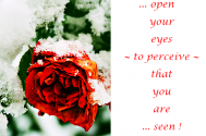 open-your-eyes--to-perceive-tell--that-you-are-seen