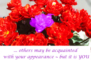 others-may-be-acquainted-with-your-appearance---but-it-is-you-who-knows-how-to-handle-it