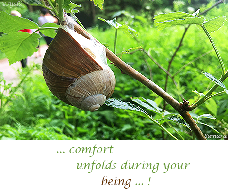 comfort-unfolds-during-your-being