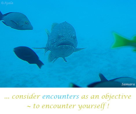 consider-encounters-as-an-objective-to-encounter-yourself
