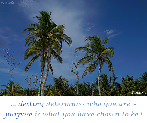 destiny-determines-who-you-are--purpose-is-what-you-have-chosen-to-be