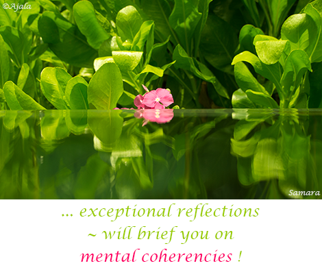 exceptional-reflections--will-brief-you-on-mental-coherencies