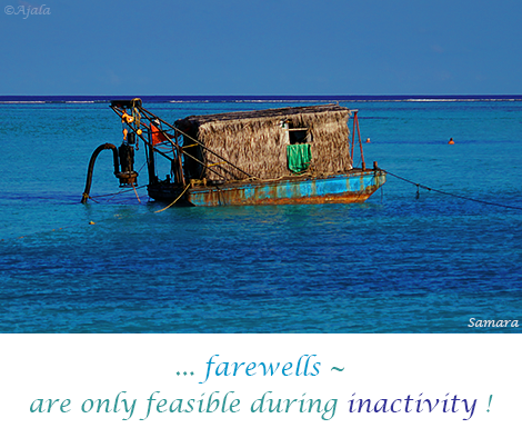 farewells--are-only-feasible-during-inactivity