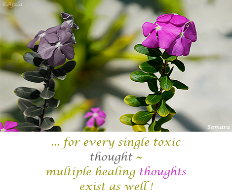 for-every-single-toxic-thought--multiple-healing-thoughts-exist-as-well