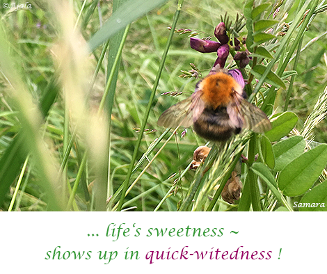 life-s-sweetness--shows-up-in-quick-witedness