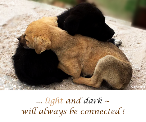 light-and-dark--will-always-be-connected