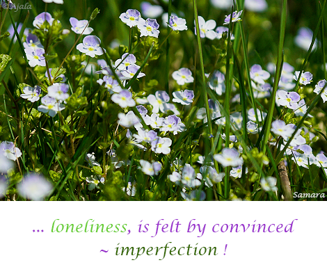 loneliness-is-felt-by-convinced--imperfection!