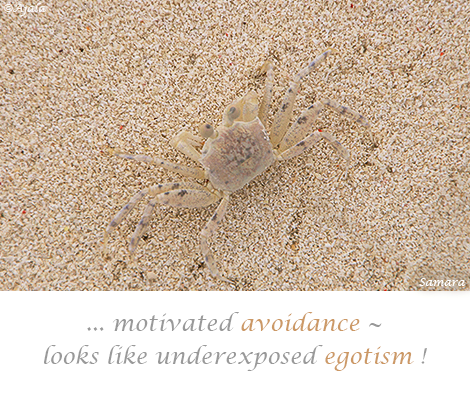 motivated-avoidance--looks-like-underexposed-egotism
