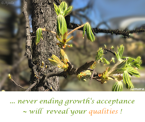 never-ending-growth-s-acceptance--will-reveal-your-qualities