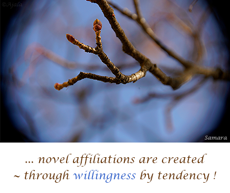 novel-affiliations-are-created--through-willingness-by-tendency
