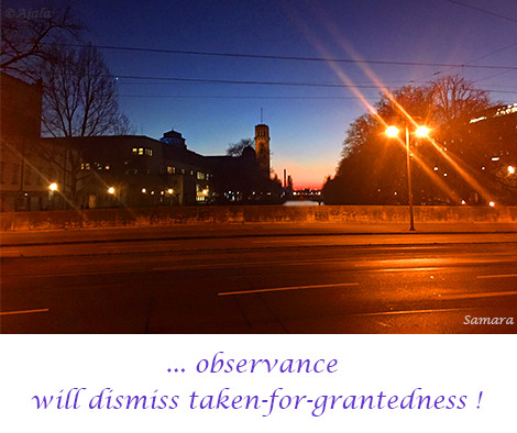 observance-will-dismiss-taken-for-grantedness