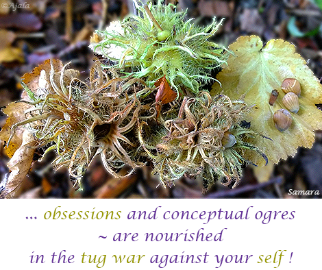 obsessions-and-conceptual-ogres--are-nourished-in-the-tug-war-against-your-self