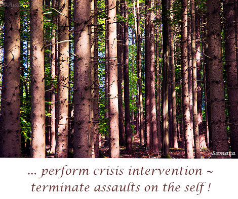 perform-crisis-intervention--terminate-assaults-on-the-self