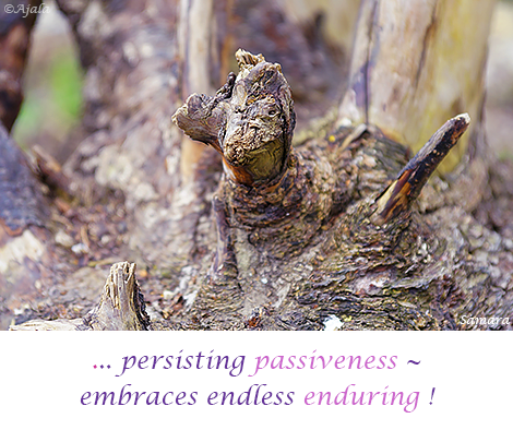 persisting-passiveness--embraces-endless-enduring