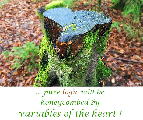 pure-logic-will-be-honeycombed-by-variables-of-the-heart