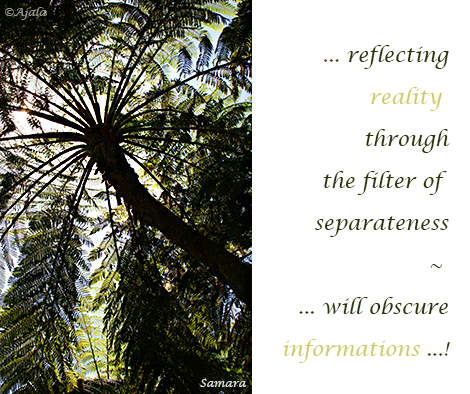 reflecting-reality-through-the-filter-of-separateness--will-obscure-informations