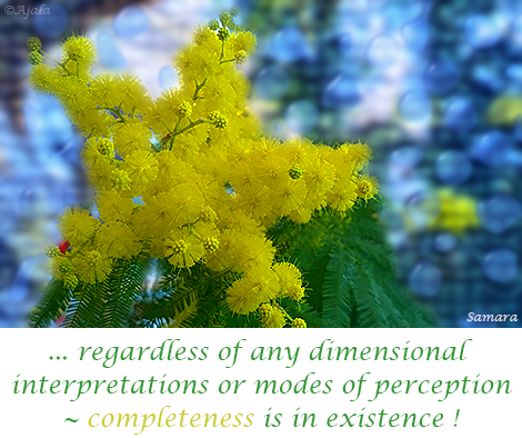 regardless-of-any-dimensional-interpretations-or-modes-of-perception--completeness-is-in-existence