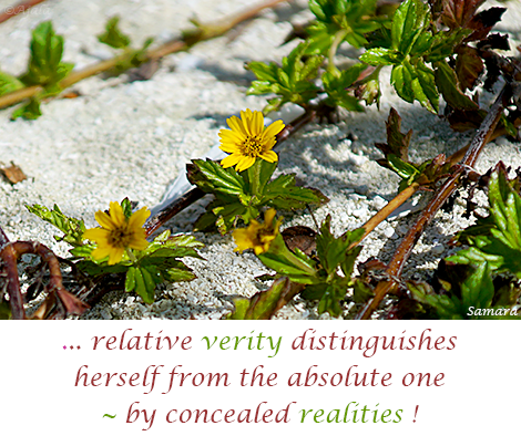 relative-verity-distinguishes-herself-from-the-absolute-one-by-concealed-realities