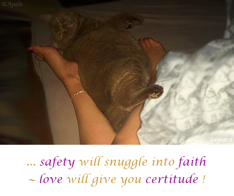 safety-will-snuggle-into-faith--love-will-give-you-certitude