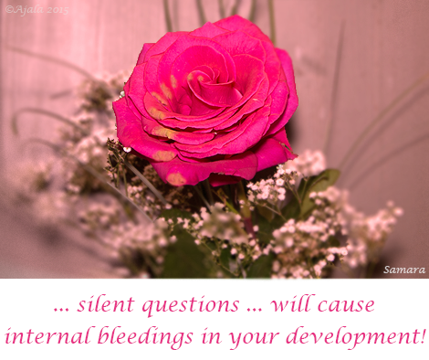 silent-questions-will-cause-internal-bleedings-in-your-development