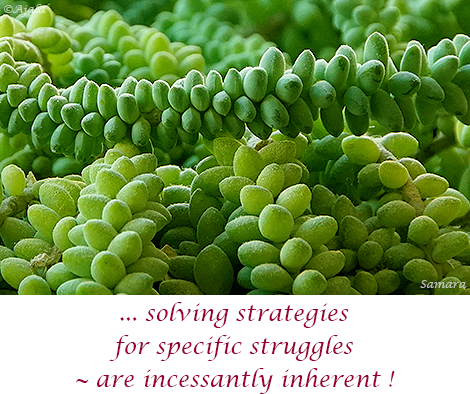 solving-strategies-for-specific-struggles--are-incessantly-inherent
