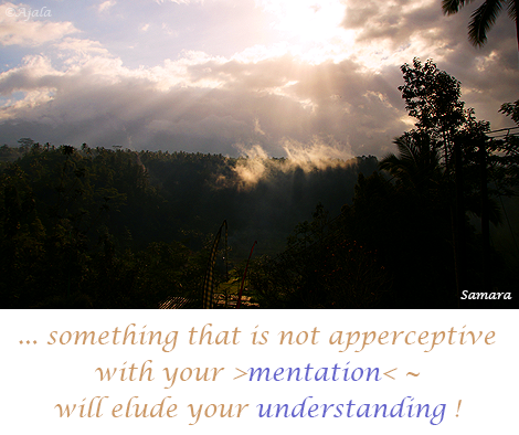 something-that-is-not-apperceptive-with-your-mentation--will-elude-your-understanding