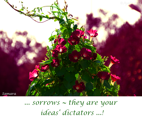 sorrows--they-are-your-ideas-dictators