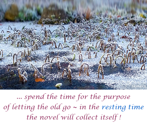 spend-the-time-for-the-purpose-of-letting-the-old-go--in-the-resting-time-the-novel-will-collect-itself