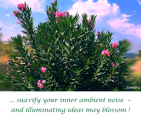 suavify-your-inner-ambient-noise--and-illuminating-ideas-may-blossom