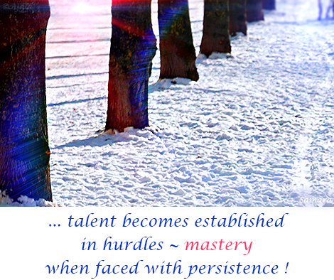 talent-becomes-established-in-hurdles--mastery-face-to-face-with-persistence