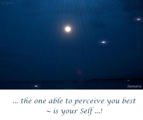 the-one-able-to-perceive-you-best--is-your-Self