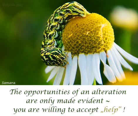 the-opportunities-of-an-alteration-are-only-made-evident--your-are-willing-to-accept-help