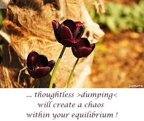 thoughtless-dumping-will-create-a-chaos-within-your-equilibrium