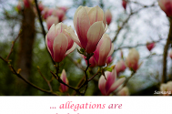 allegations-are---failed-assistance