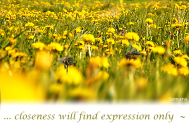 closeness-will-find-expression-only----if-MYSELF-transforms-into-YOU