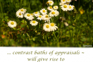 contrast-baths-of-appraisals--will-give-rise-to-inner-homelessness