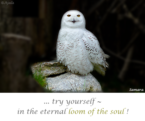 try-yourself--in-the-eternal-loom-of-the-soul