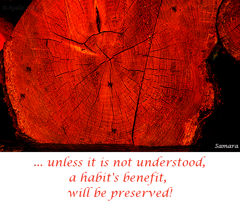 unless-it-is-not-understood-a-habit-s-benefit-will-be-preserved